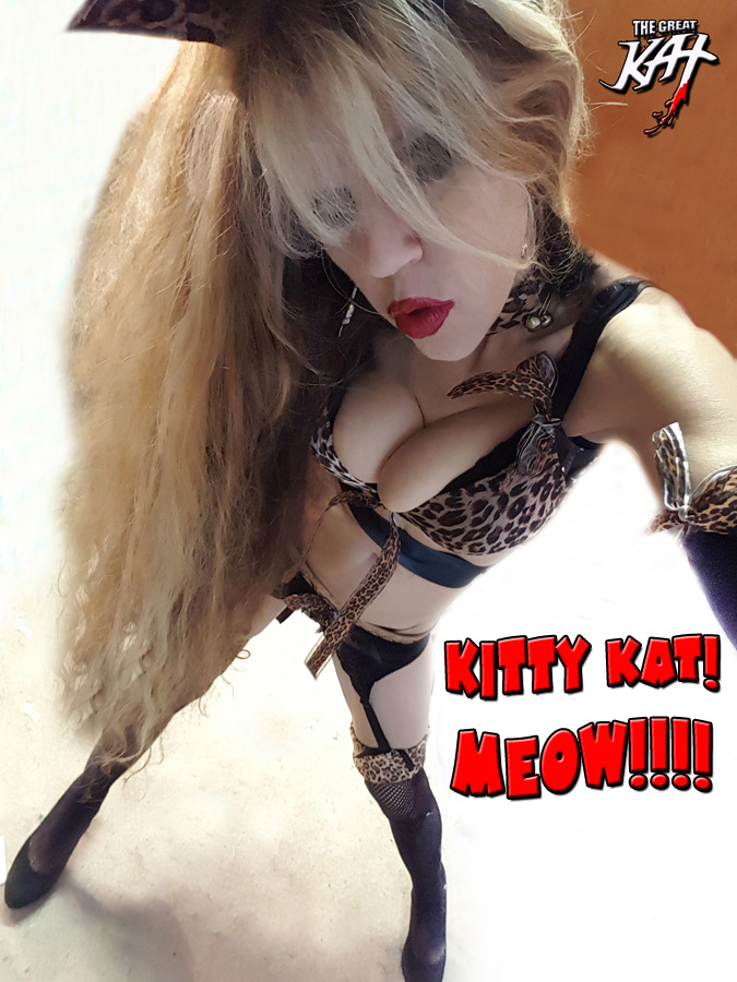 KITTY KAT! MEOW!!!!