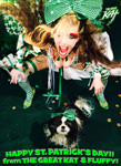 HAPPY ST. PATRICK'S DAY! From THE GREAT KAT & FLUFFY!