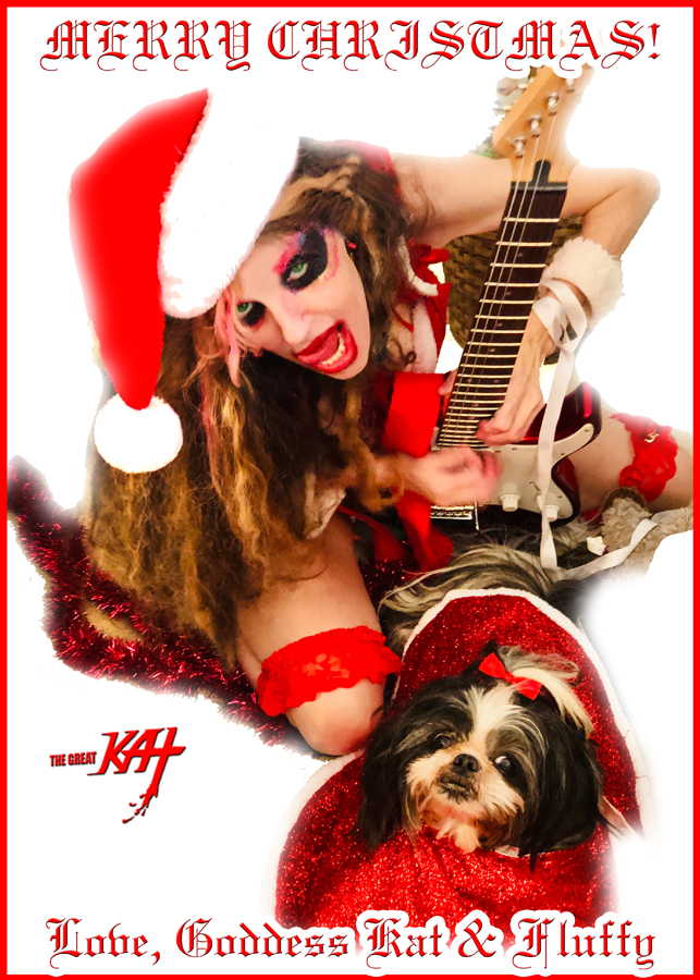 MERRY CHRISTMAS!! LOVE, HTHE GODDESS KAT & FLUFFY! BEETHOVEN'S VIOLIN CONCERTO for GUITAR & VIOLIN