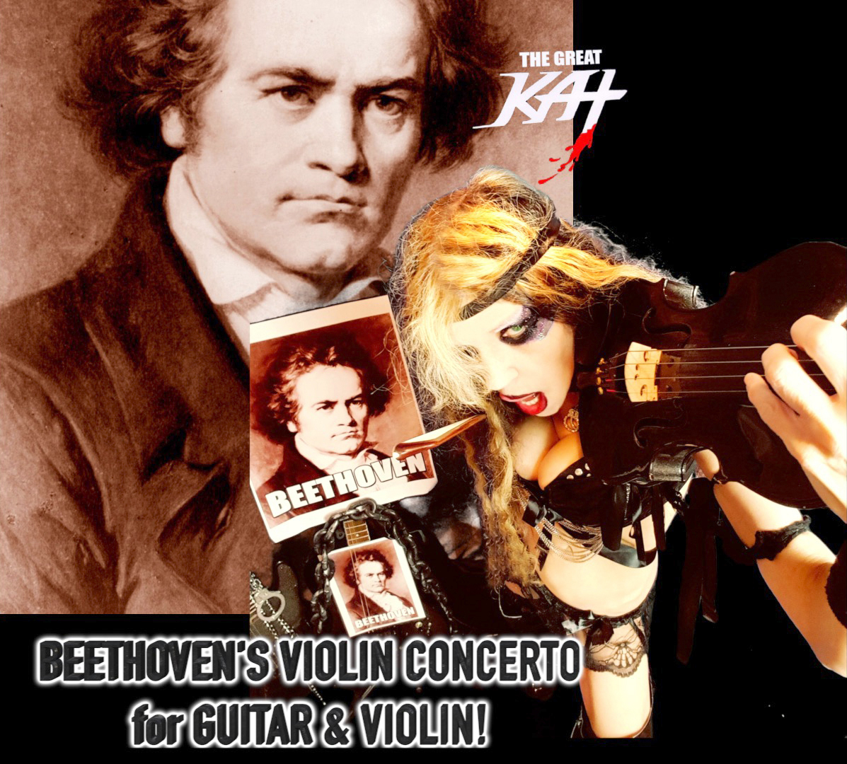 BEETHOVEN'S VIOLIN CONCERTO for GUITAR & VIOLIN