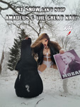 NY SNOW CAN'T STOP AMADEUS & THE GREAT KAT!